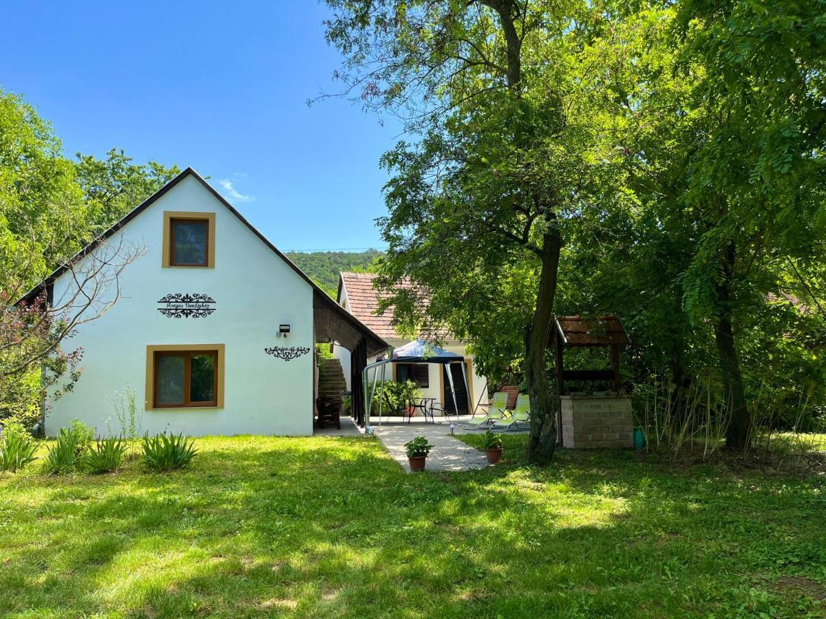 Villa Arnyas Vendeghaz Badacsonytomaj Exterior foto